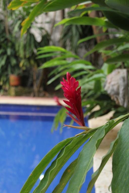 Casa Del Tejadillo Hotel Cartagena Eksteriør billede