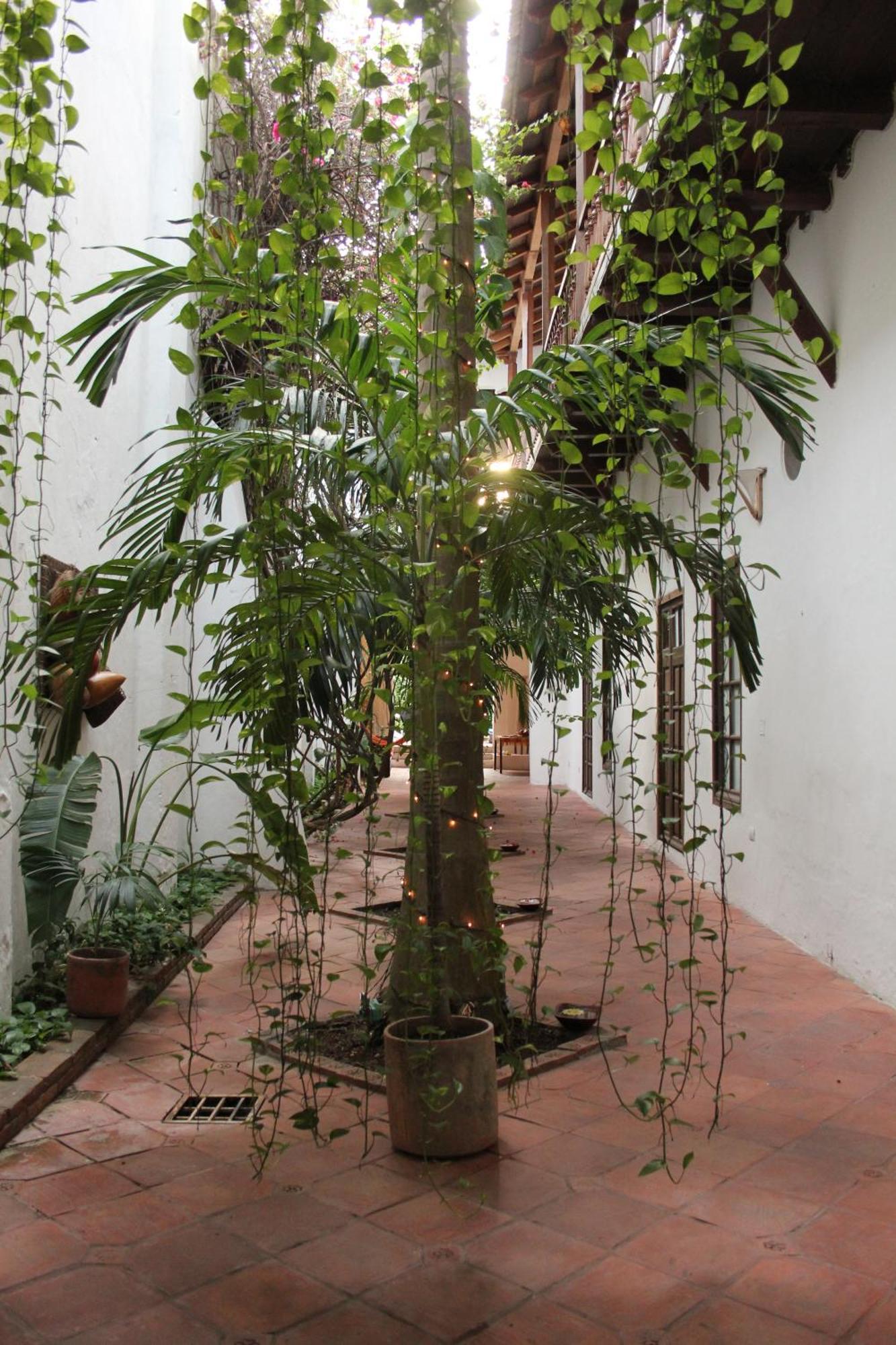 Casa Del Tejadillo Hotel Cartagena Eksteriør billede